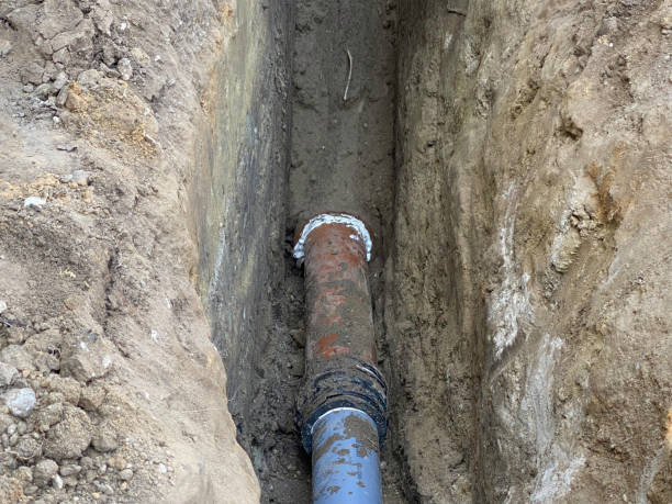 Best Basement water damage restoration  in Box Elder, SD