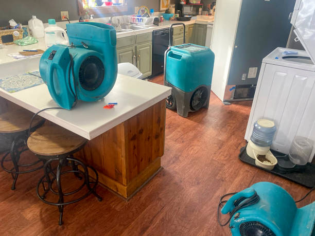 Best Water damage cleanup near me  in Box Elder, SD