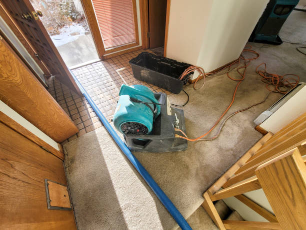 Best Fire Damage Restoration  in Box Elder, SD