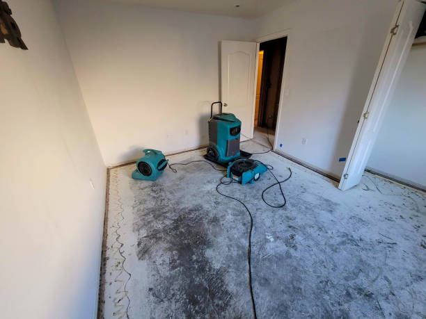 Best 24/7 water damage repair  in Box Elder, SD