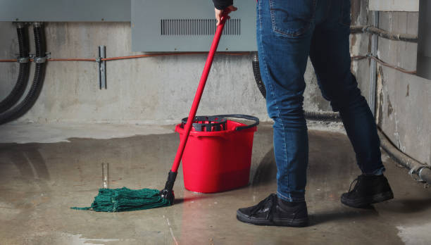 Best Water damage restoration insurance claims  in Box Elder, SD