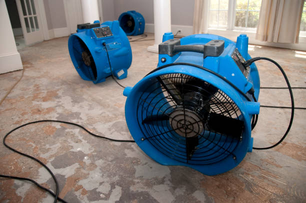 Best Commercial water damage restoration  in Box Elder, SD