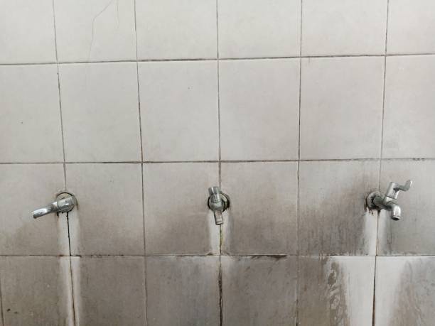 Best Residential water damage restoration  in Box Elder, SD