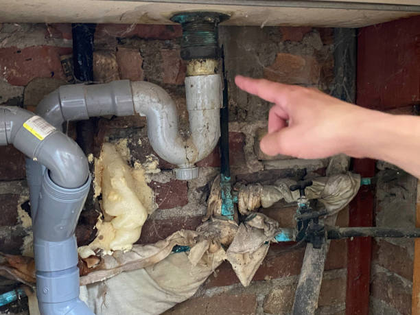 Best Water damage contractors near me  in Box Elder, SD