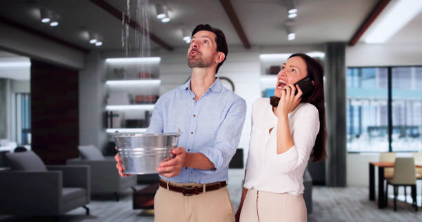 Best Mold removal after water damage  in Box Elder, SD