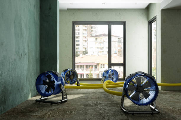 Water damage restoration mold remediation in SD